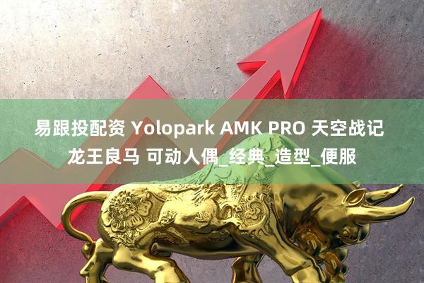易跟投配资 Yolopark AMK PRO 天空战记 龙王良马 可动人偶_经典_造型_便服